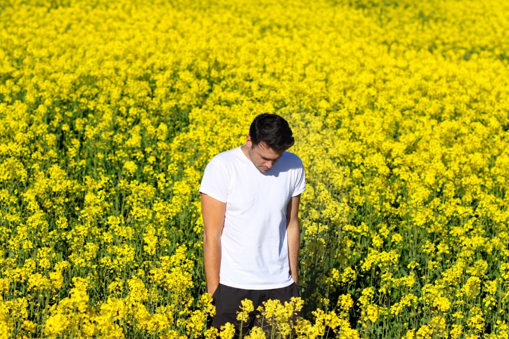 Yelow Summer